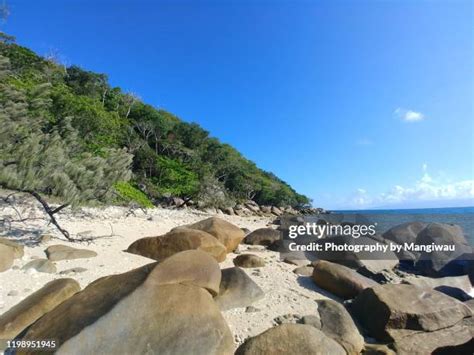 fkk voyeur|3,704 Naturism Stock Photos and High